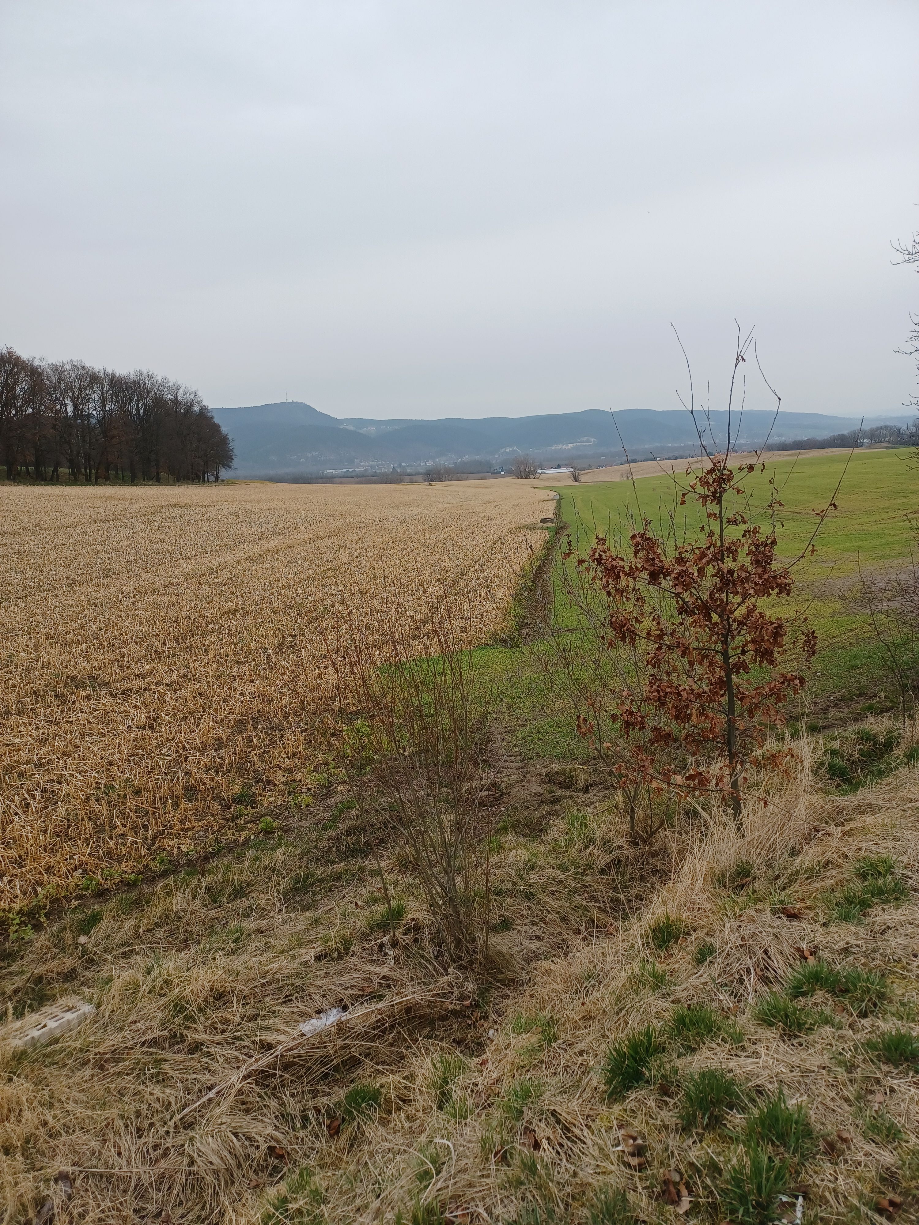Weiter Blick auf ein landwirtschaftliches Feld im Herbst, unter dem unterirdisch in Rohren der Läusebach verläuft.