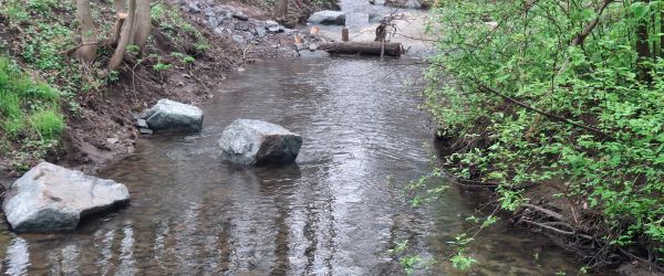 Flussverlauf mit querliegenden Steinen