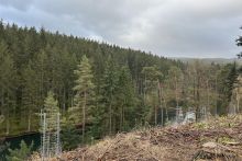 Pflanzaktion an der Talsperre Tambach-Dietharz