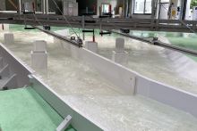 mit Wasser gefülltes Modell der Schussrinne der Hochwasserentlastung.