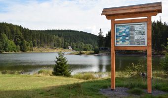 Ein informatives Holzschild steht im Uferbereich der Talsperre Lütsche, dahinter liegt der Badesee.