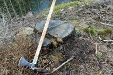 Pflanzaktion an der Talsperre Tambach-Dietharz