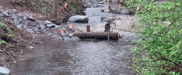 Fluss mit eingebauten großen Steinen und querliegenden Baumstämmen