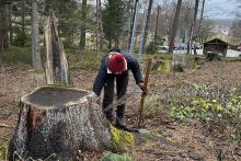 Pflanzaktion an der Talsperre Tambach-Dietharz