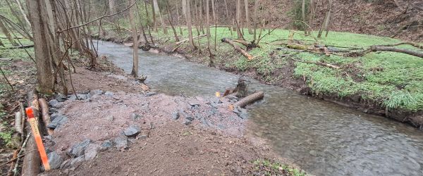 Uferbefestigung aus kleinen Steinen und Erde sowie Holzstämmen