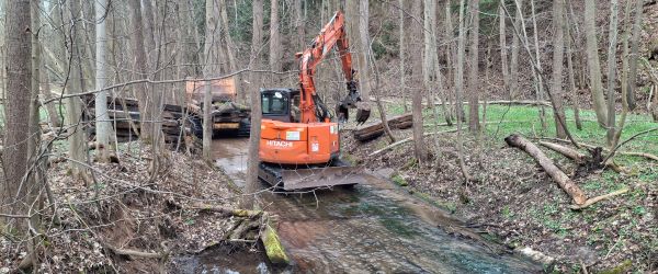 Bagger steht im Flussbett zur Einbringung der Holzstämme
