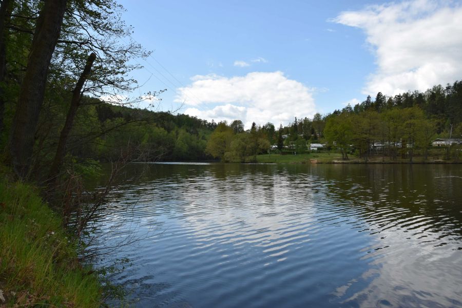Blick vom Wäldchen auf den Stausee Auma/Eisenhammer