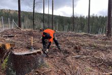 Aufforstung an der Talsperre Tambach-Dietharz