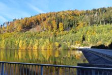 Die Waldfläche spiegelt sich in der Wasserfläche