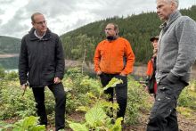 Umweltminister Tilo Kummer steht am Steilhang der Talsperre Ohra und sprocht mit den Bergwaldprojektmitgliedern