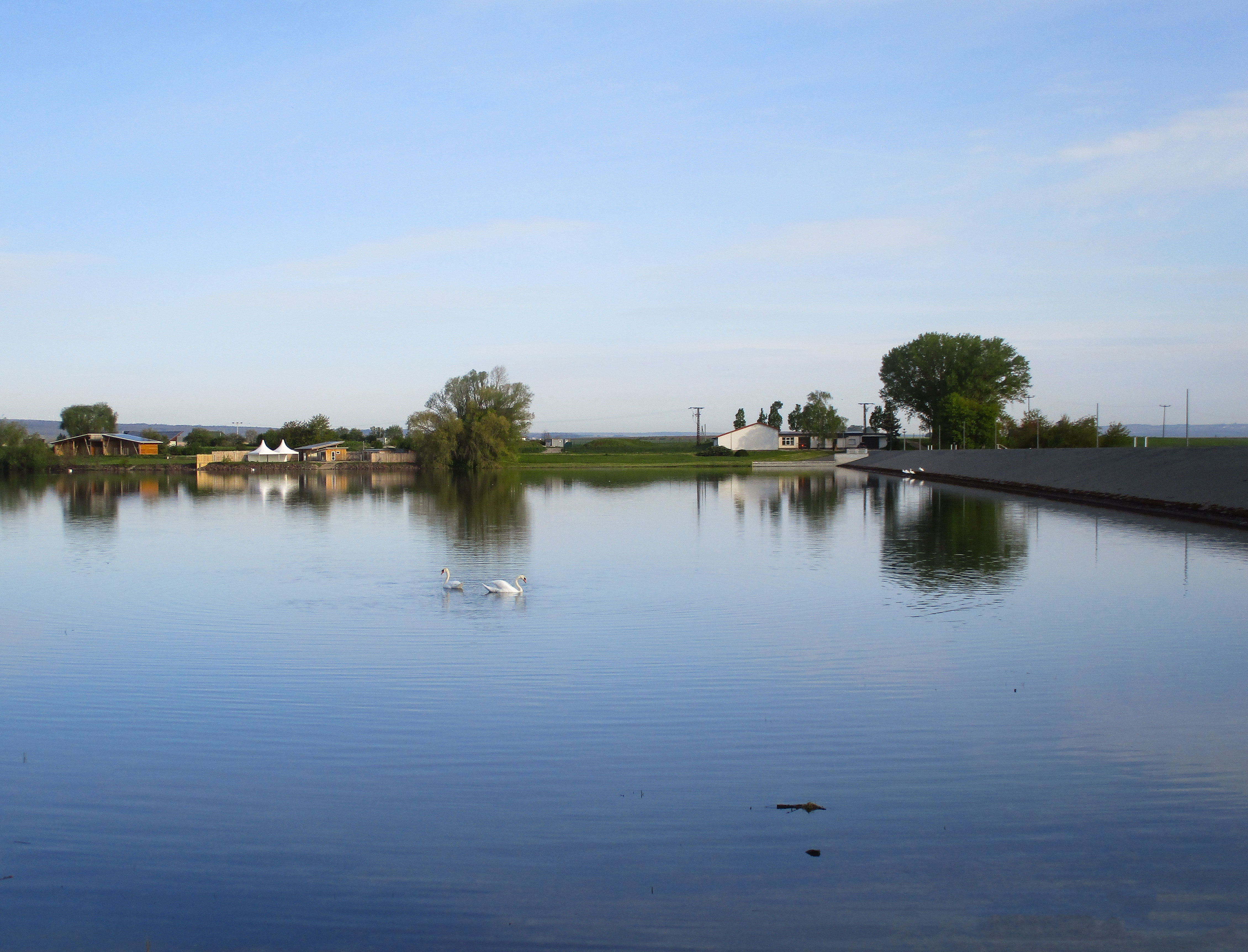 Stausee der Talsperre Seebach mit Schwanenpaar und Camping-Panorama im Hintergrund
