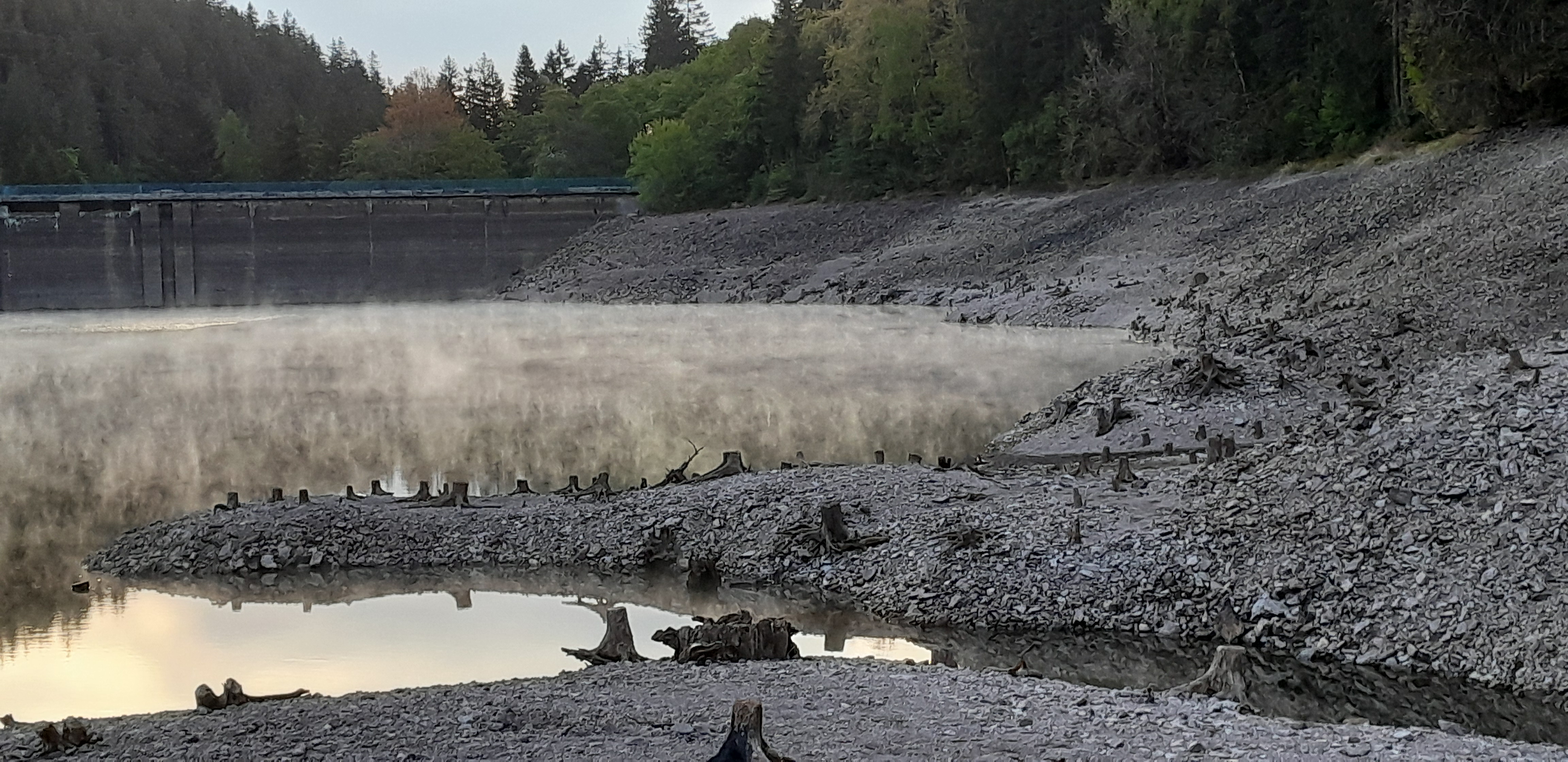 Blick auf den wenig eingestauten Stauraum mit der Staumauer im Hintergrund. Über dem Wasser bildet sich Wasserdampf in der Morgensonne.