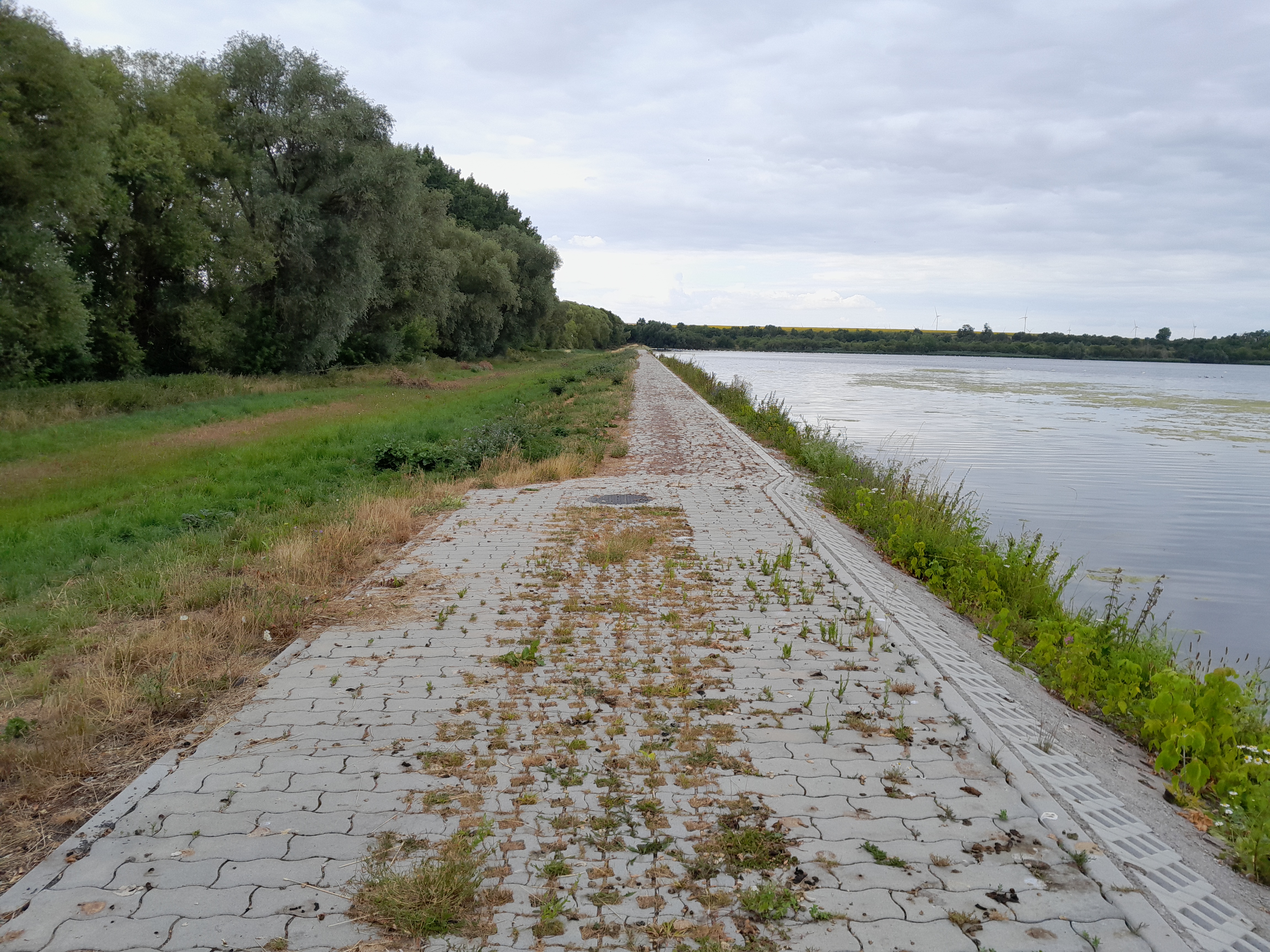 Krone und Weg des Nebendamms durchgehend sichtbar mit leichtem Bewuchs mit Gras an der Böschung