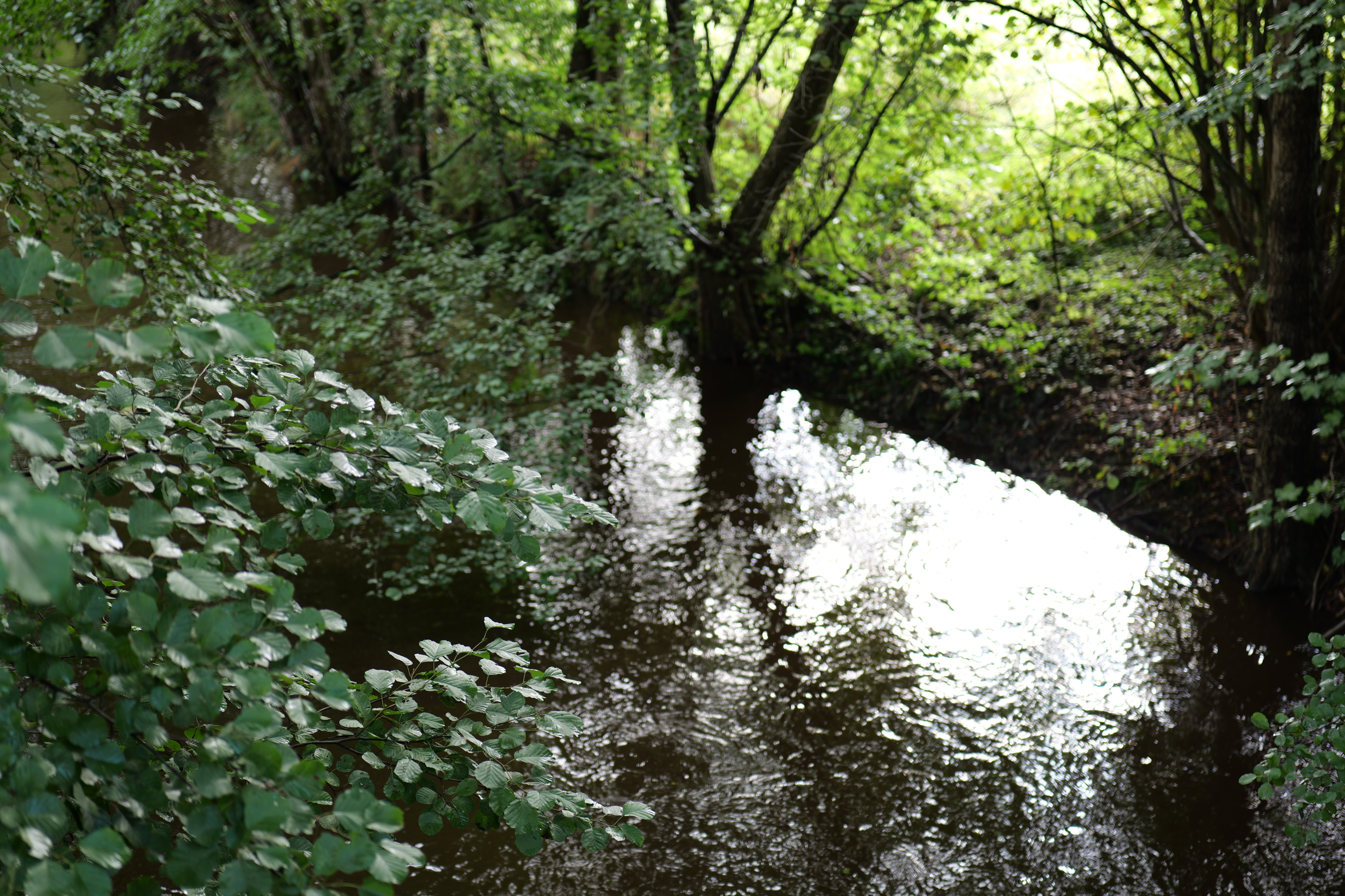Wasserfluss im Flussbett, umrandet von Bewuchs mit Bäumen und Sträuchern am Ufer.